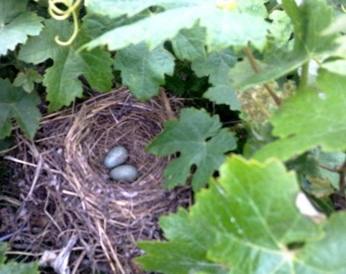 SORPRESAS Y MÁS SORPRESAS...