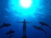 ‘The Cove’- Estremecedor.