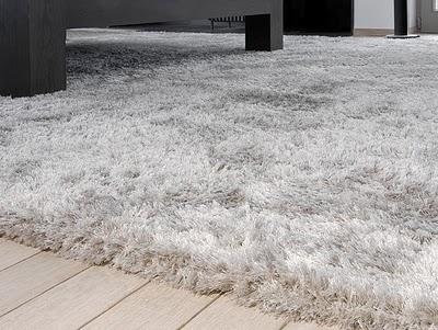 La alfombra mágica de la invisibilidad