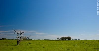 Canciones para descubrir mirando por la ventanilla