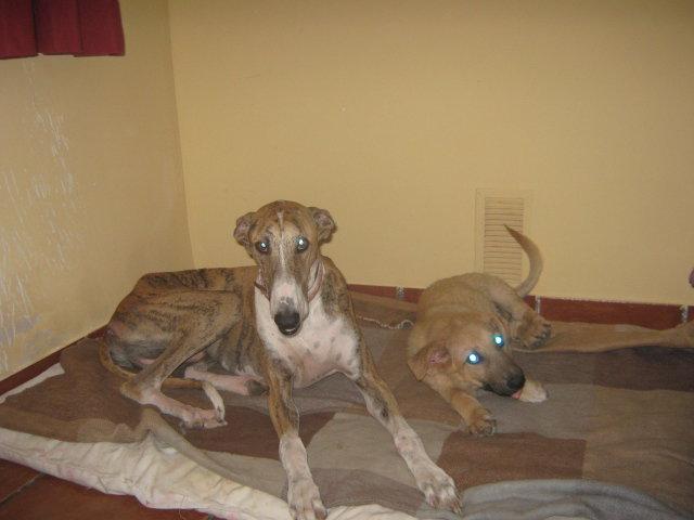 Buenas noticias I (Sergi)