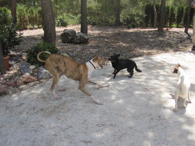 Buenas noticias I (Sergi)