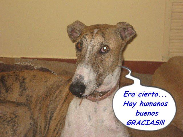 Buenas noticias I (Sergi)