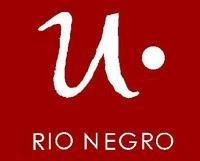 Becas de Ingenieria Ambiental e Ingenieria Electronica Argentina 2010