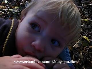 Nutrición Materna durante la lactancia