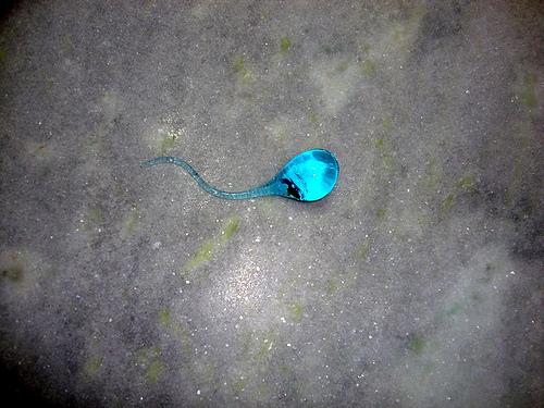 espermatozoide por jacksanches.