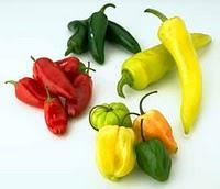 INSOLITUDES / PICANTE PARA TERRORISTAS