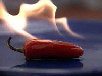 INSOLITUDES / PICANTE PARA TERRORISTAS