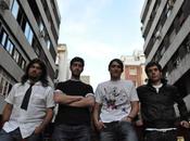 Monkey Company