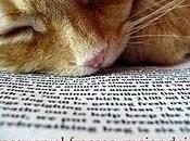 Diez días como diez soles agujeros, hoy)...