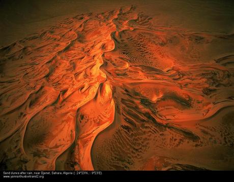 Richard Francis Burton – El desierto y el kaif