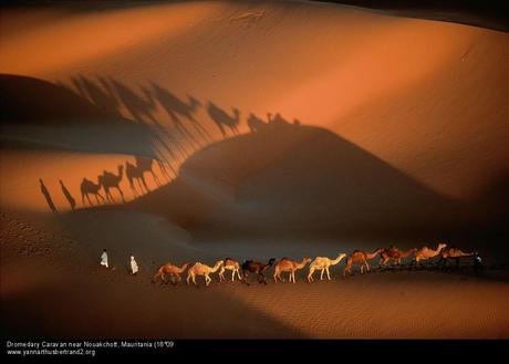 Richard Francis Burton – El desierto y el kaif