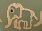 Crean obras arte bacterias hongos