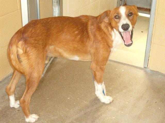 Noticias de Quito :)