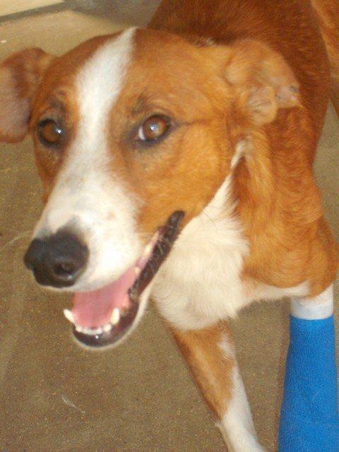 Noticias de Quito :)