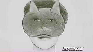 La policía tras los pasos de Catwoman