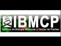 Becas tesis doctoral en Instituto de Biología Molecular de Valencia -España 2010 Becas tesis doctoral en Instituto de Biología Molecular de Valencia -España 2010