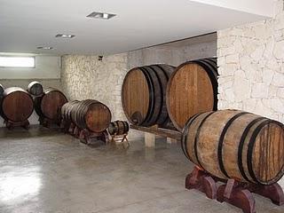 VISITA  A LA  BODEGA SALVADOR POVEDA