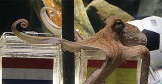 El pulpo Pau, las que prometen que van y los disparates para salir en las noticias