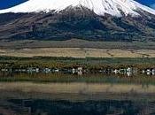 Primera nieve monte fuji (1958), yasunari kawabata. retrato íntimo japón postguerra.
