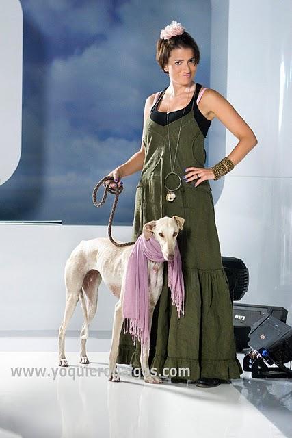 SILVIA ABRIL - Galgos