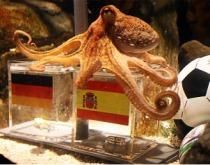 Hay de animales a animales, en México tenemos a los peores