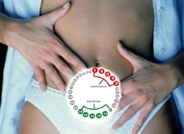 Dietas Para Prevenir Los Problemas Menstruales