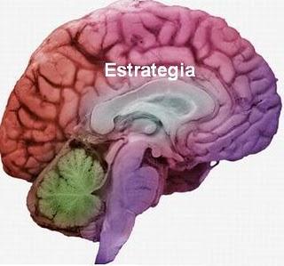 El Proceso Cognitivo  Dentro del complejo mundo del proce...