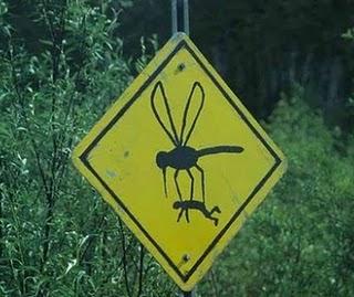 Spray anti-mosquitos