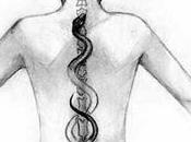Yoga Kundalini