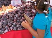 Nuevo estudio obesidad EEUU, niños obesos.