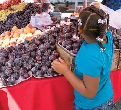 Nuevo estudio de obesidad en EEUU, más niños obesos.