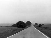 CDAN, Ayudas Investigación: Pensar Paisaje 2010