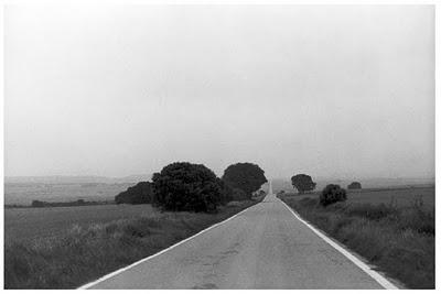 CDAN, Ayudas a la Investigación: Pensar el Paisaje 2010