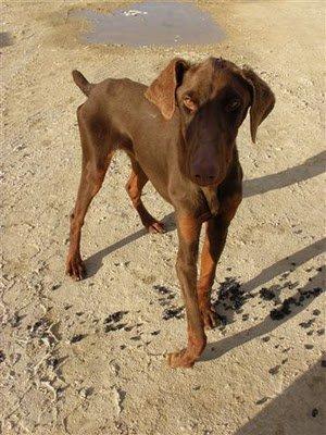 Historias de adoptados. Martina