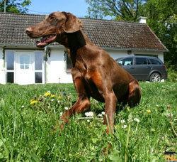 Historias de adoptados. Martina