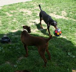 Historias de adoptados. Martina