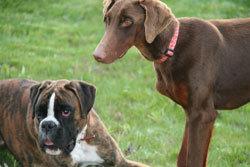 Historias de adoptados. Martina