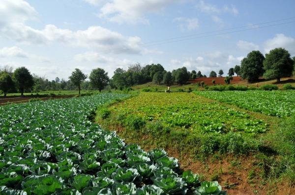 Treking Kalaw – Inle Lake: Día 2
