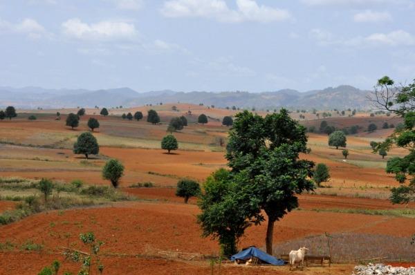 Treking Kalaw – Inle Lake: Día 2