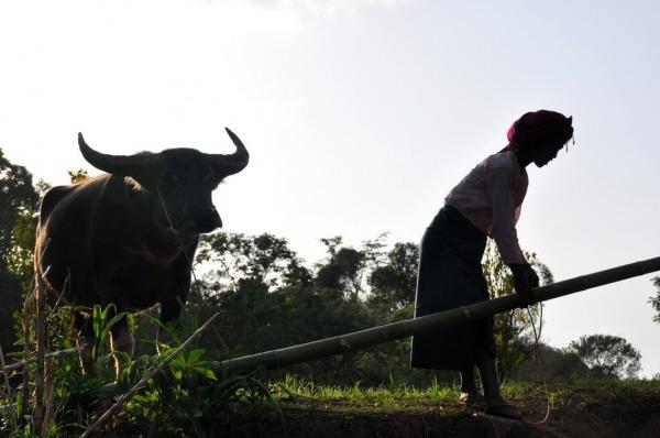 Treking Kalaw – Inle Lake: Día 2