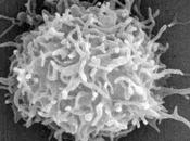 Diseñando ejercito para declarar guerra cáncer