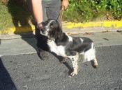 Gala, evitemos acabe manos cazador favor!!!!!!!