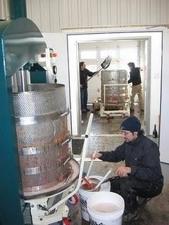 SIDRA DE HIELO CRYOMALUS SIDRA DE HIELO CRYOMALUS