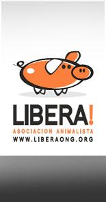 Campaña contra la exhibición de animales en aparadores en Cataluña