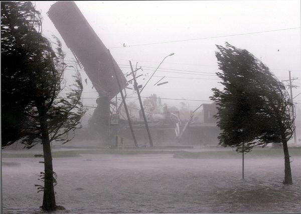 Psicología Positiva: Líderes Resilientes