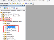 Insertar Datos Forma Grafica SqlServer