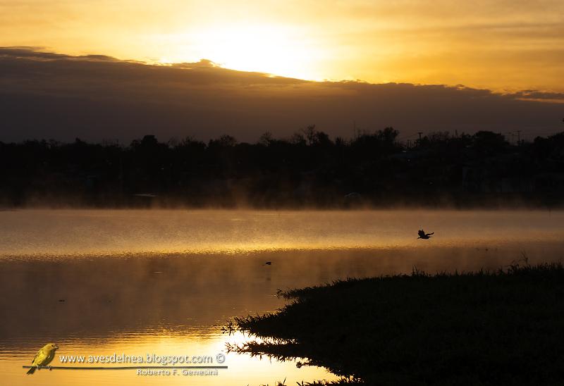 Comenzando la jornada