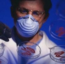 Desarrollan un kit de diagnostico de Chagas para recien nacidos.