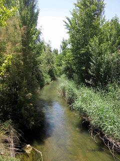 Río Huerva, Muel, Polidas chamineras